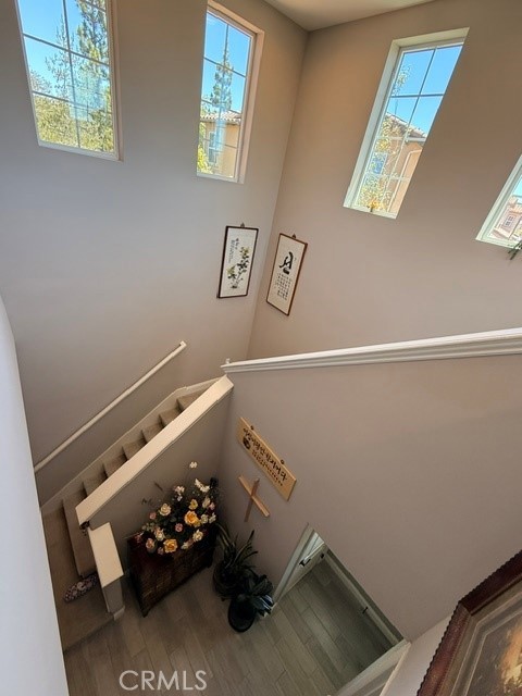 629 Agapanthus Property Photo 31