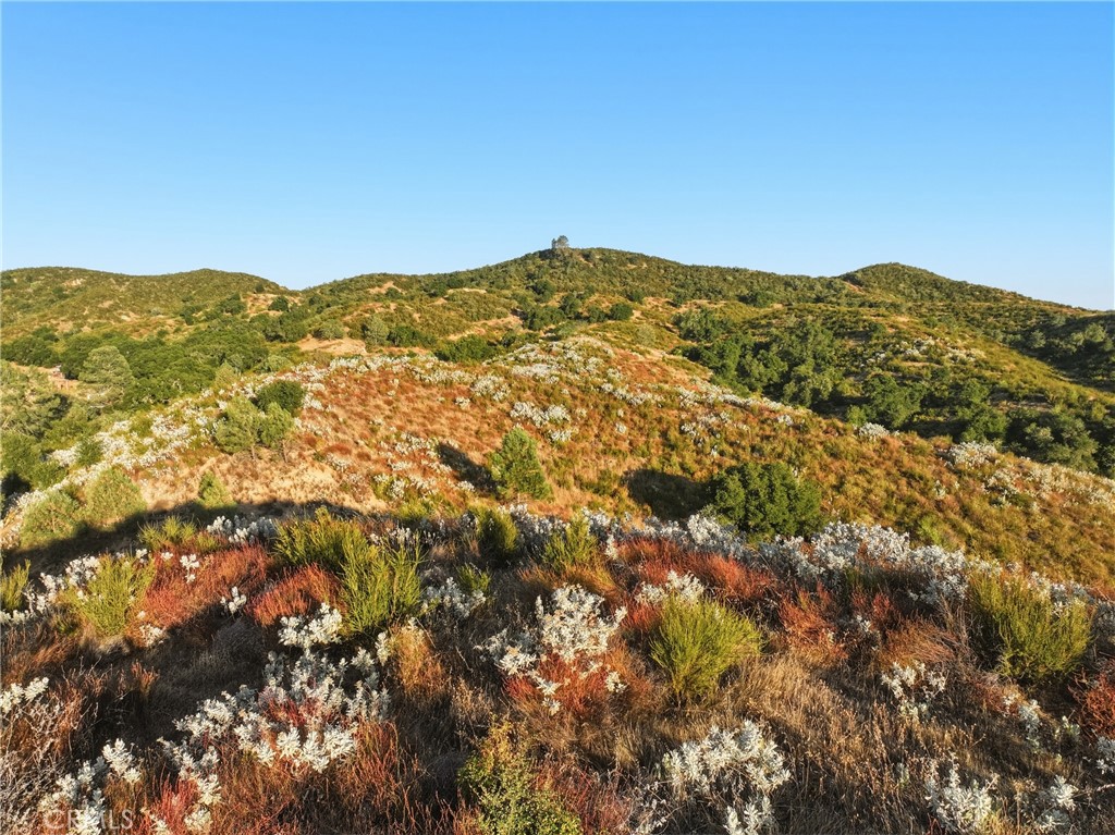 5885 Lion Ridge Property Photo 42