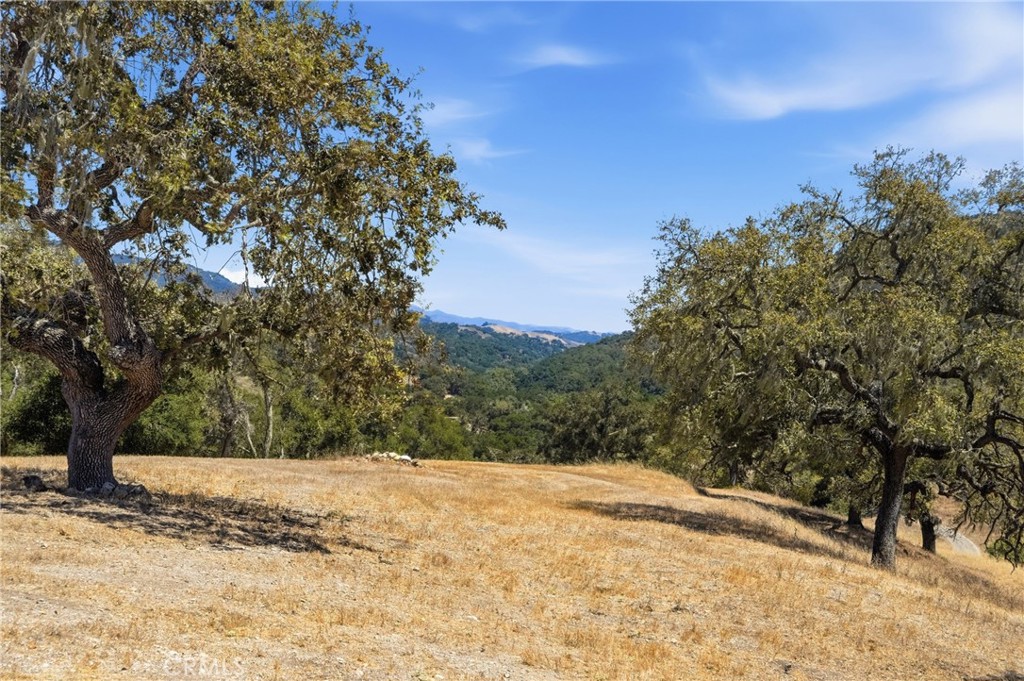 9875 Suey Creek Property Photo 31