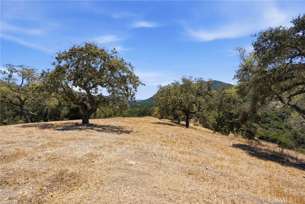 9875 Suey Creek Property Photo 32