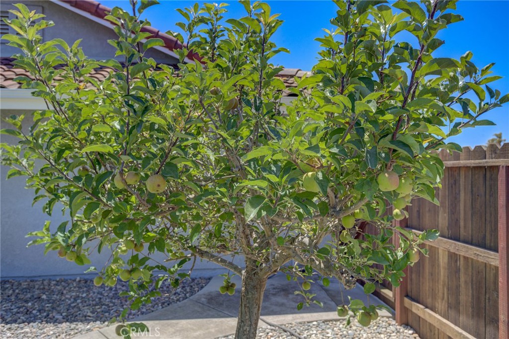 4580 Harmony Property Photo 55
