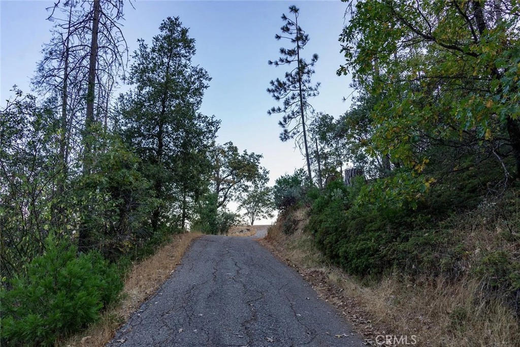 35528 Road 223 Property Photo 3