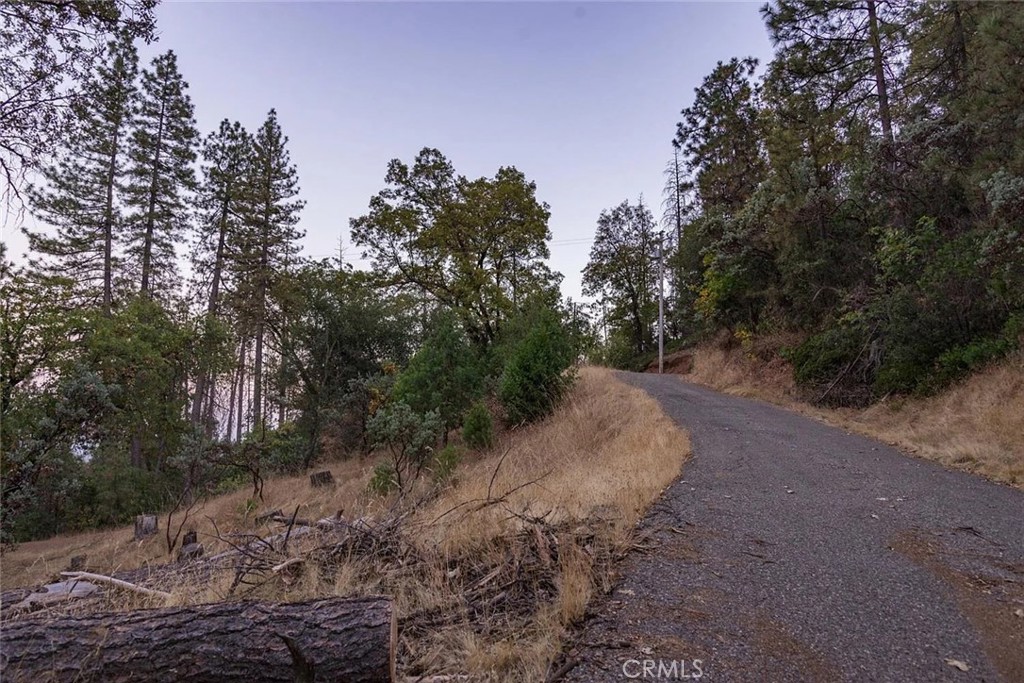 35528 Road 223 Property Photo 5