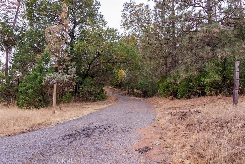 35528 Road 223 Property Photo 6