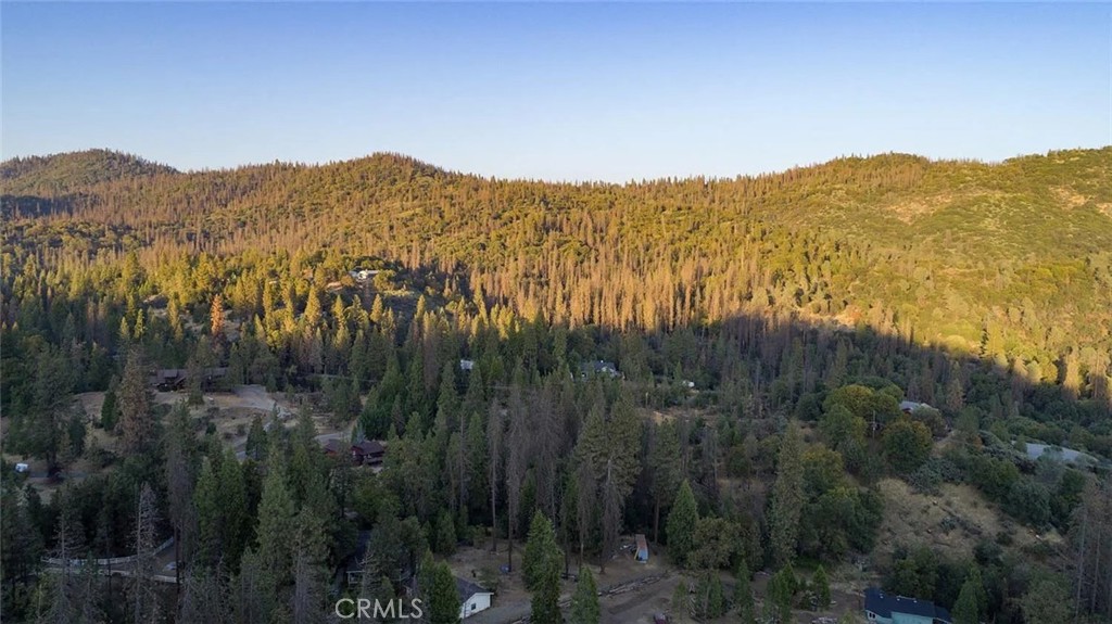 35528 Road 223 Property Photo 9