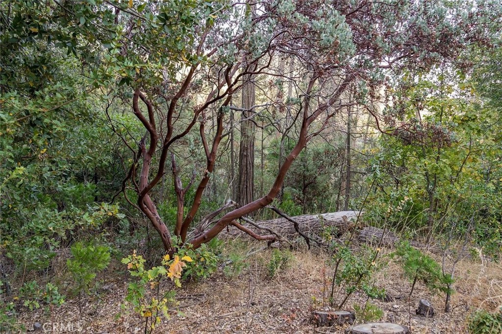 35528 Road 223 Property Photo 14