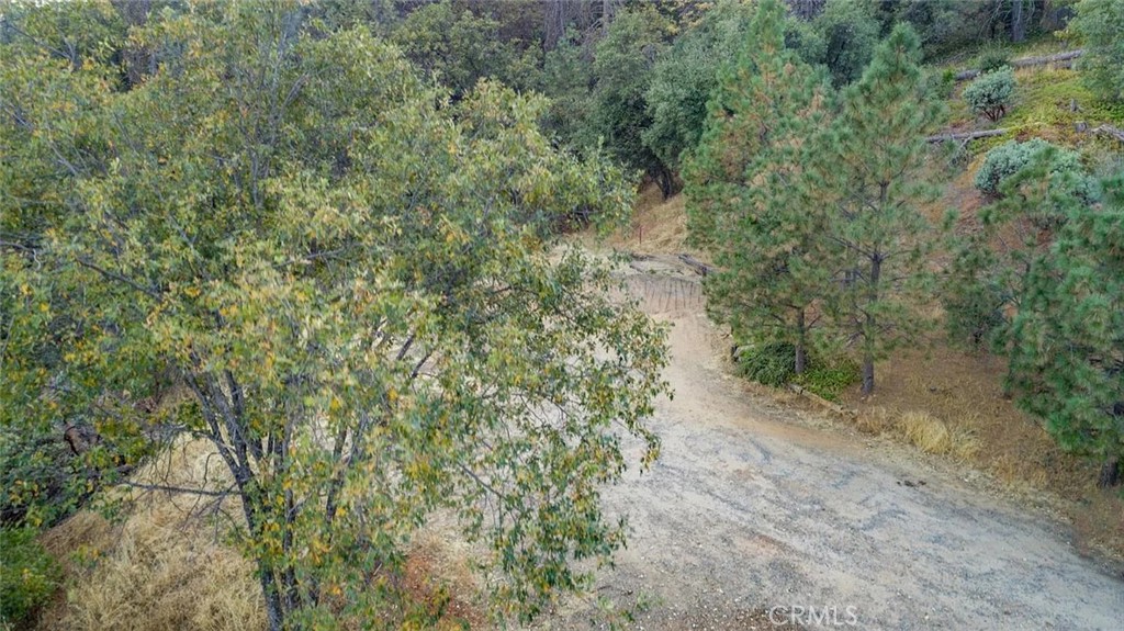 35528 Road 223 Property Photo 16
