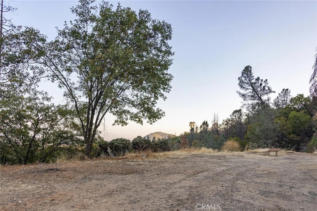 35528 Road 223 Property Photo 19