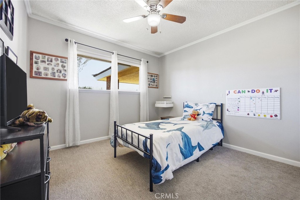 208 Glen Oaks Property Photo 26