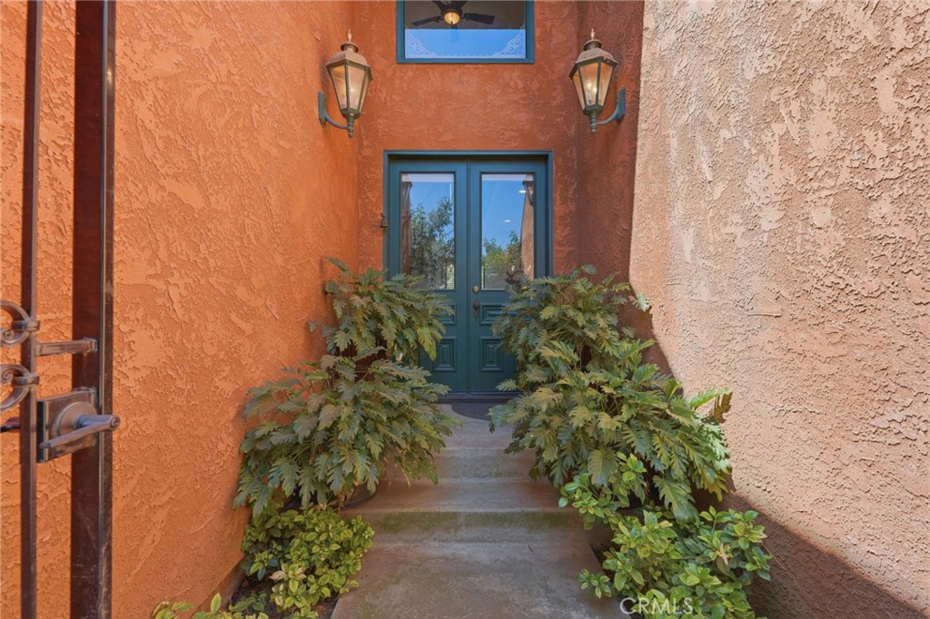 31061 Palm Property Photo 13