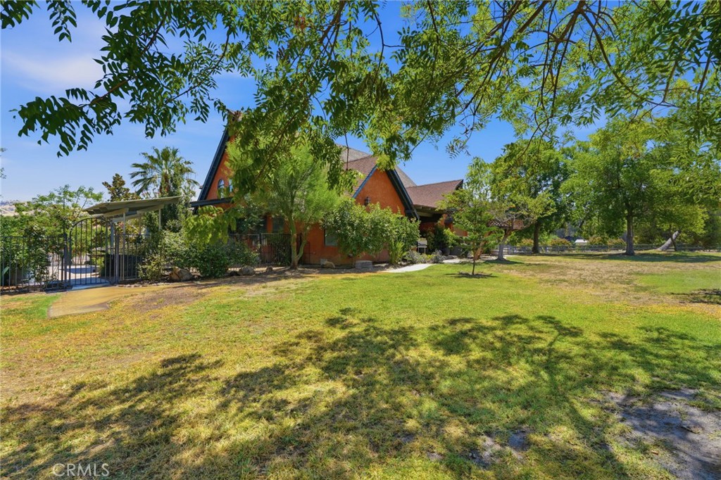 31061 Palm Property Photo 49