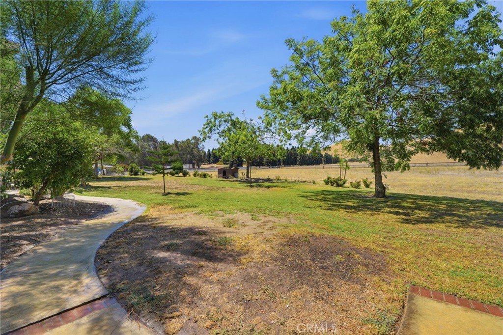 31061 Palm Property Photo 50