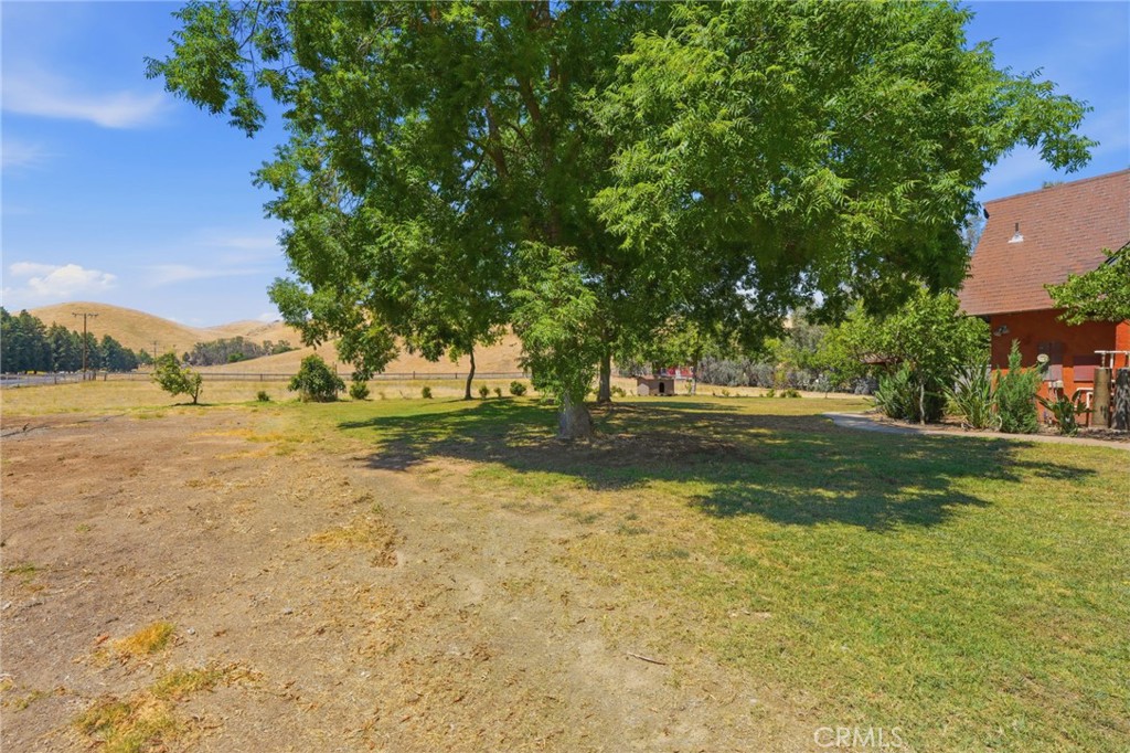 31061 Palm Property Photo 51