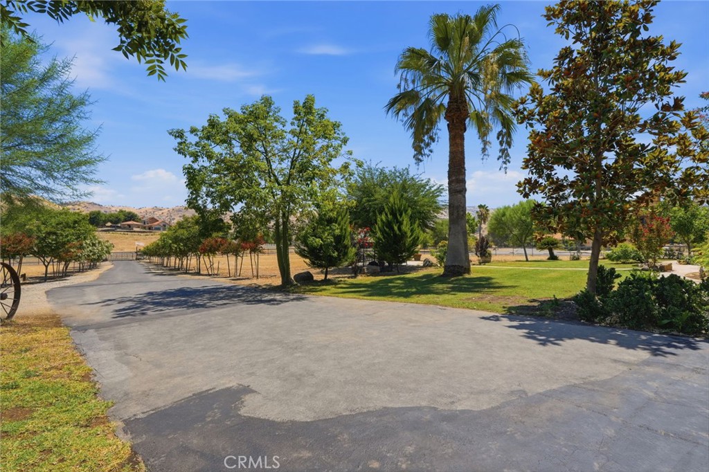 31061 Palm Property Photo 70
