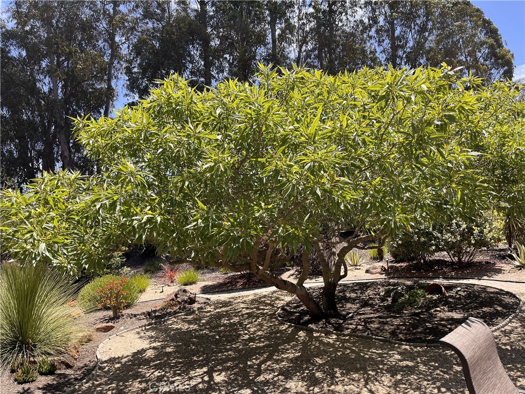 1007 Maggie Lane Property Photo 3