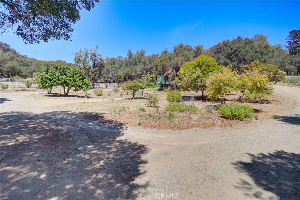 1615 Bee Canyon Road Property Photo 10