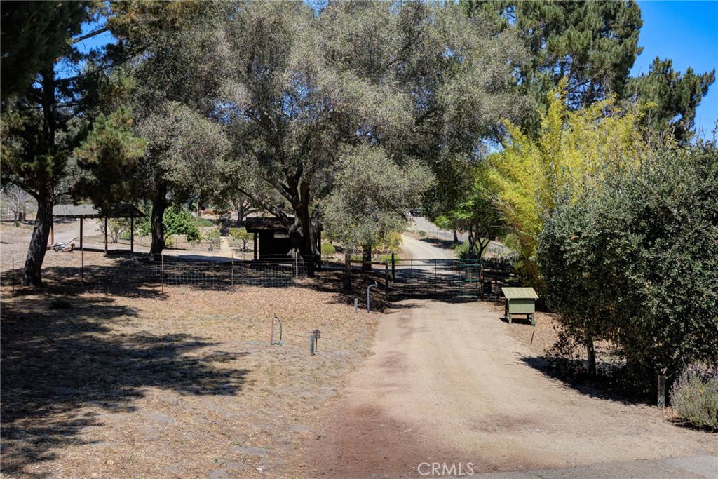 1615 Bee Canyon Road Property Photo 47