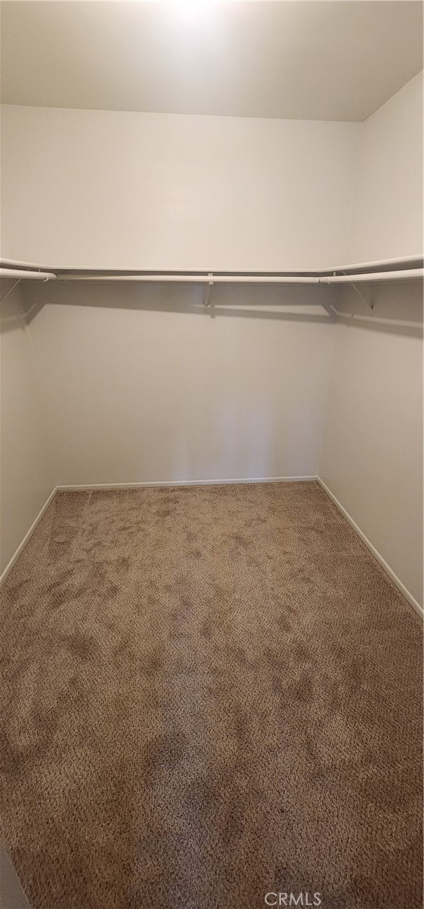 1057 Meadow Property Photo 19