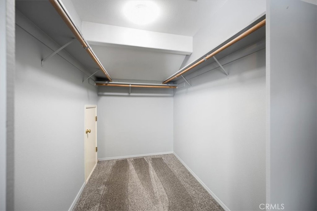 838 Rain Tree Court Property Photo 41