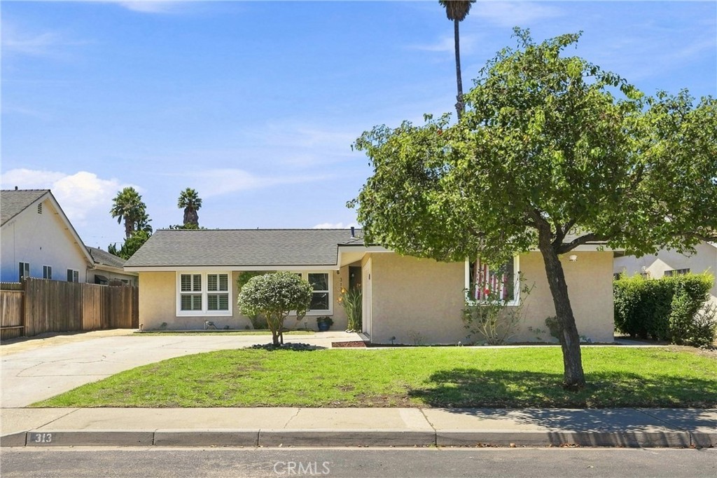 313 Amherst Property Photo 1
