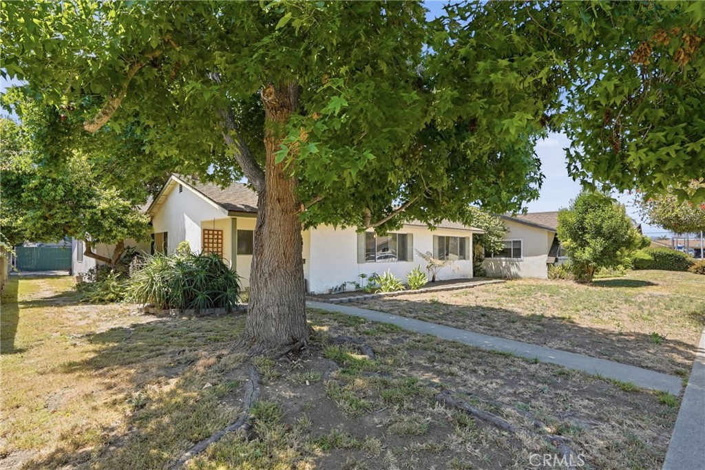 1108 E Mango Property Photo 6