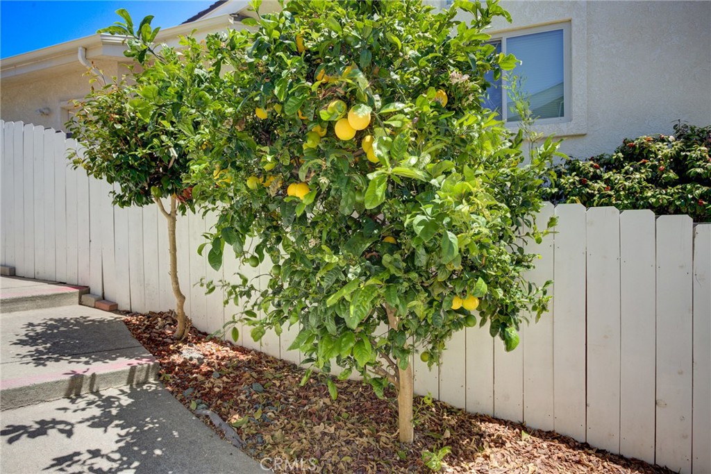 261 Coral Court Property Photo 62