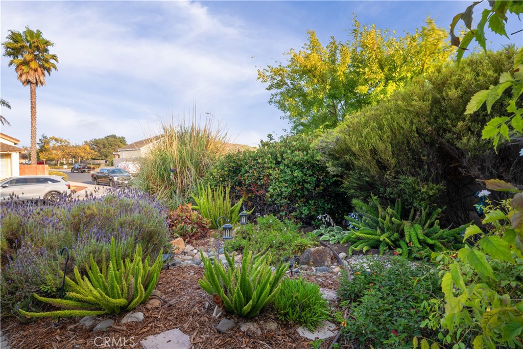 3693 Corta Bella Way Property Photo 24