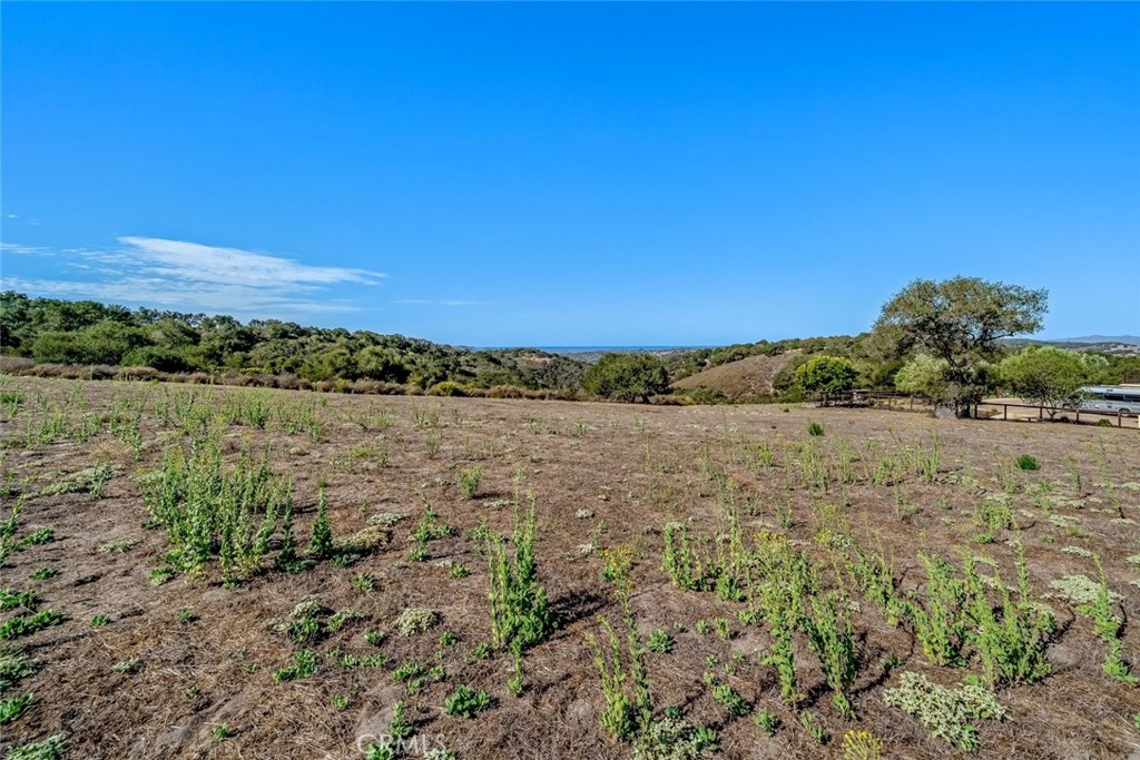 3675 Camino Purisima Property Photo 6