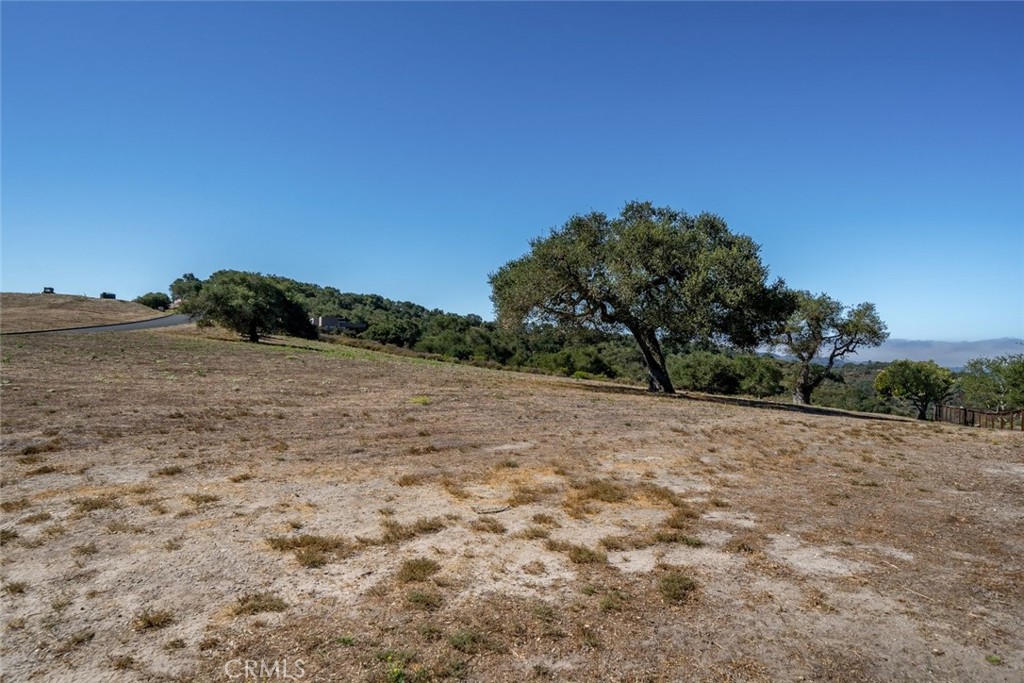 3675 Camino Purisima Property Photo 8