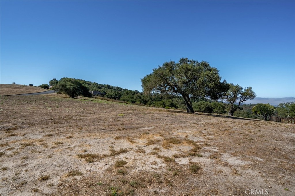 3675 Camino Purisima Property Photo 8