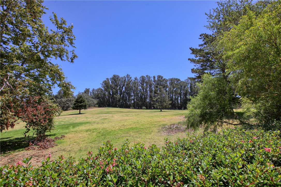 538 Misty View Property Photo 41