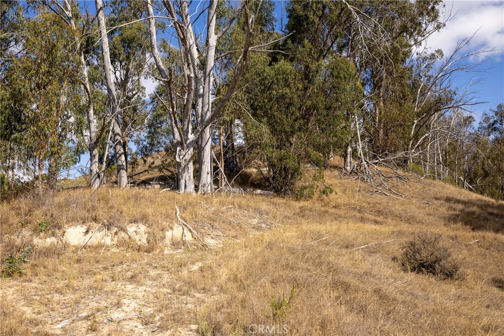 1375 Sugar Bush Court Property Photo 8