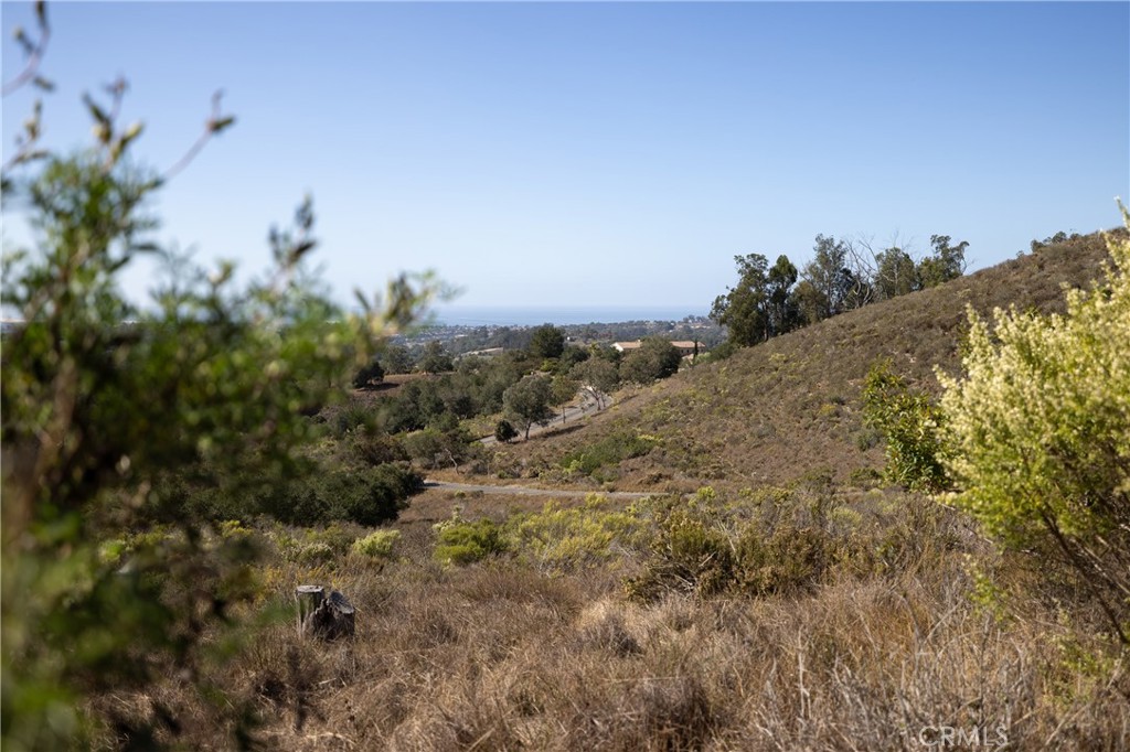 1170 Montecito Ridge Drive Property Photo 6