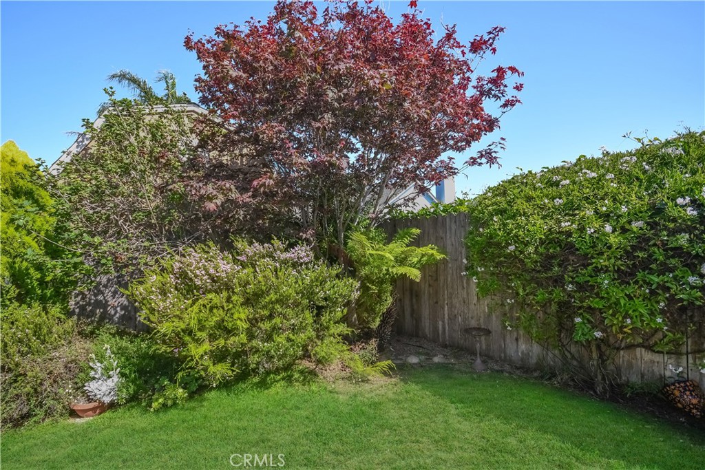1553 Blackberry Avenue Property Photo 33