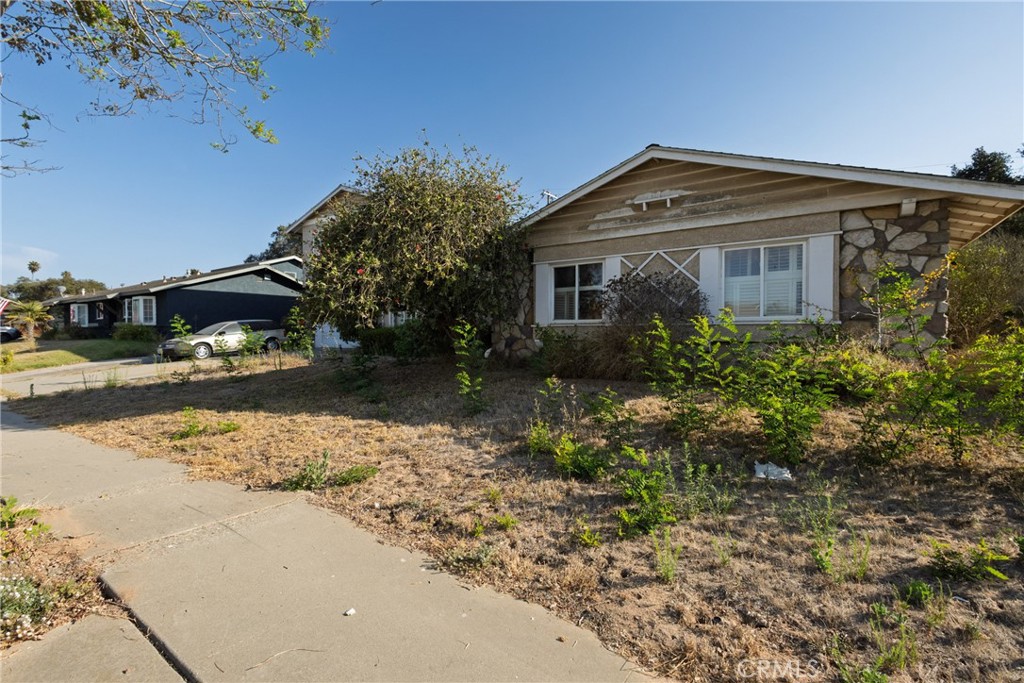 1136 Patterson Property Photo 4