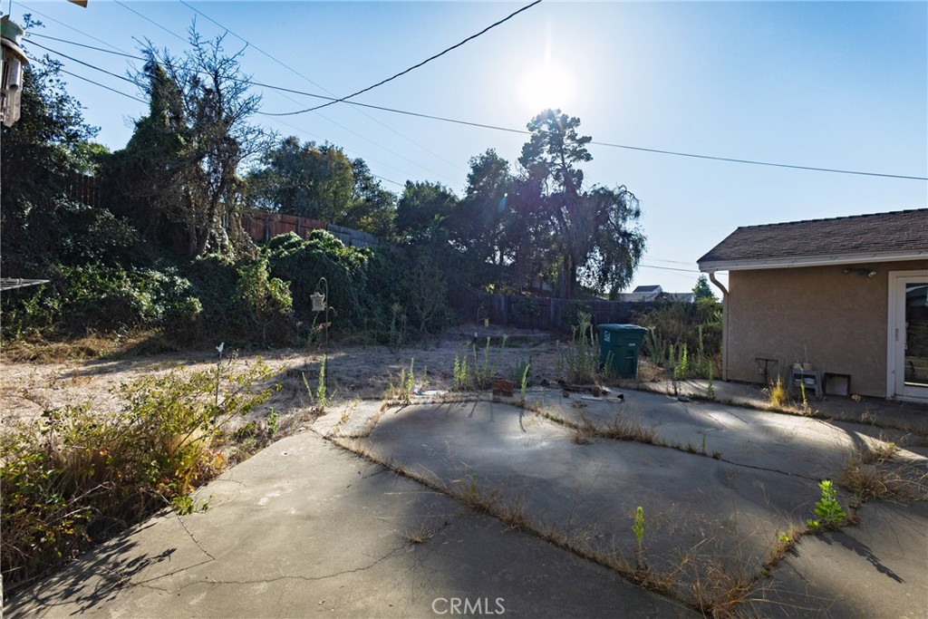 1136 Patterson Property Photo 36