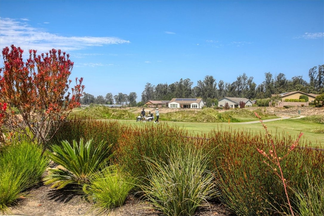 1470 Vista Tesoro Property Photo 49