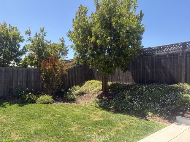 1037 Shultz Property Photo 28