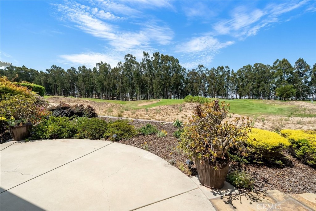 1978 Eucalyptus Property Photo 14