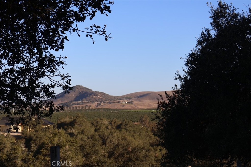 169 Cimarron Property Photo 5