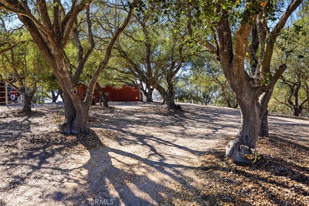169 Cimarron Property Photo 48