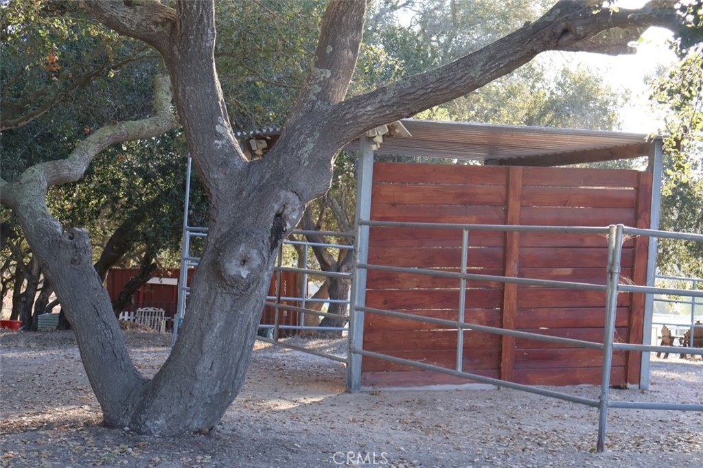 169 Cimarron Property Photo 52