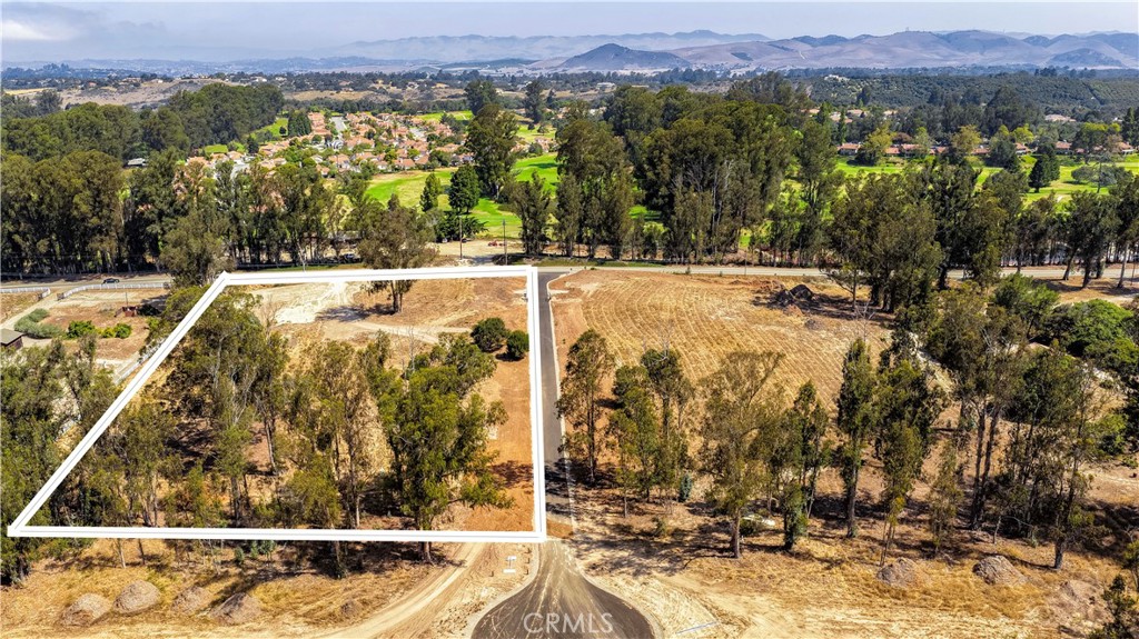 54 Driftwood Canyon Lane Property Photo 2