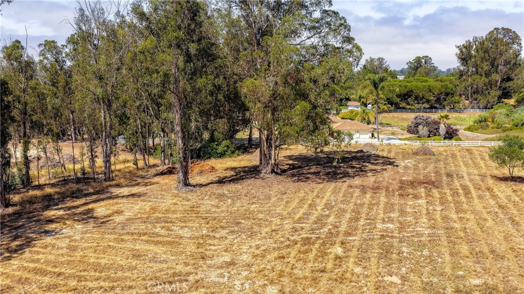 54 Driftwood Canyon Lane Property Photo 11