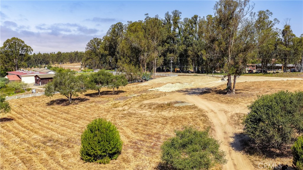 54 Driftwood Canyon Lane Property Photo 12