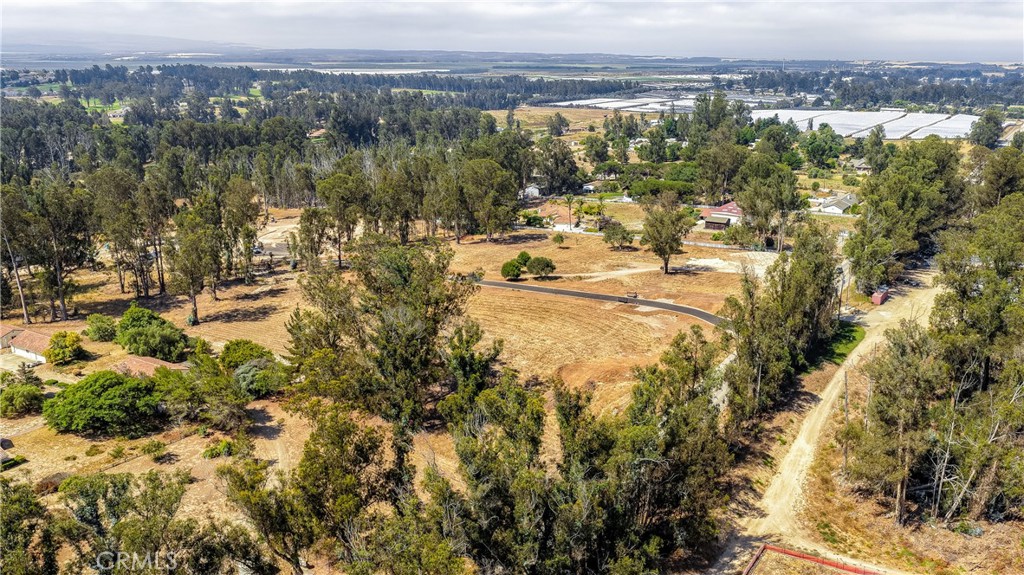 55 Driftwood Canyon Property Photo 12
