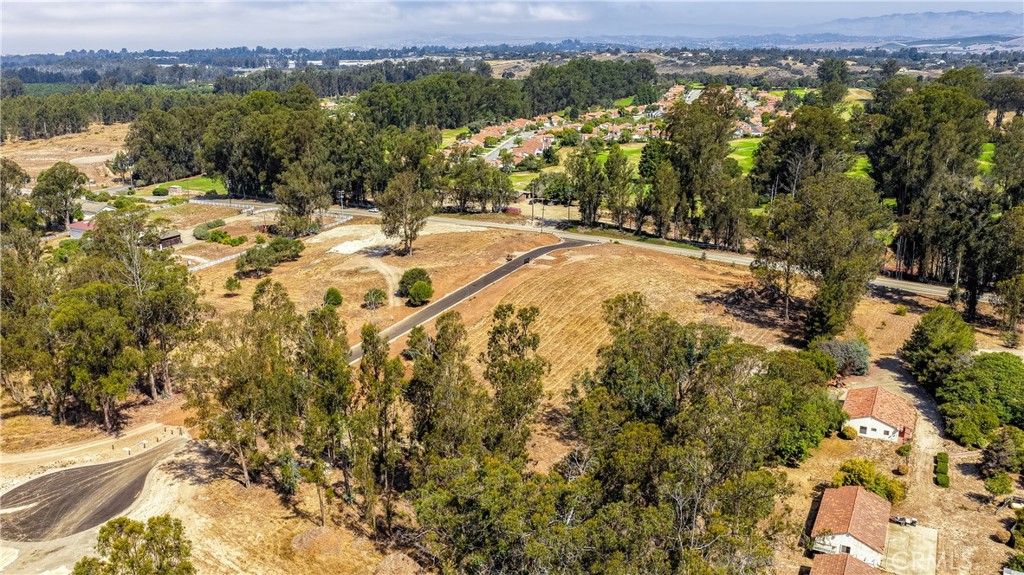 55 Driftwood Canyon Property Photo 14
