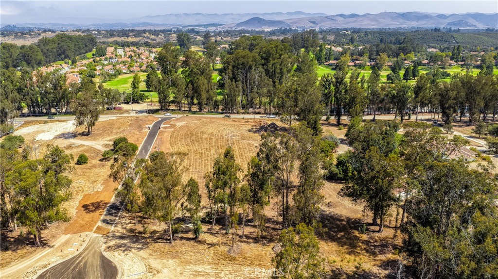 55 Driftwood Canyon Property Photo 15