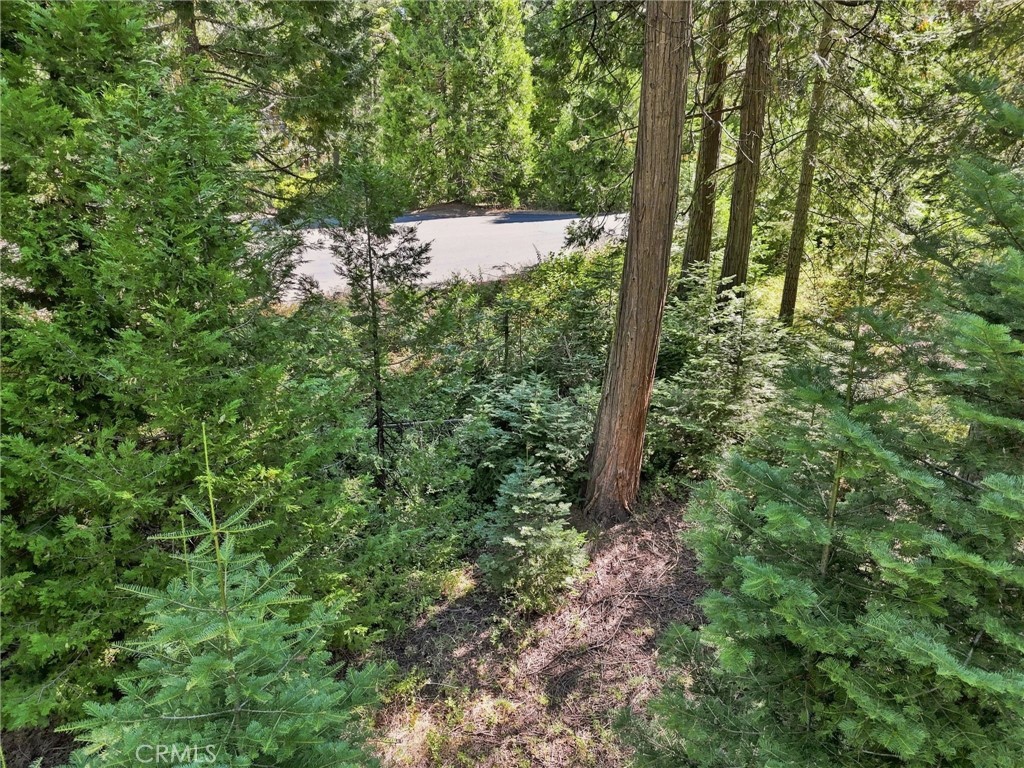 39730 Fox Glove Lane Property Photo 26