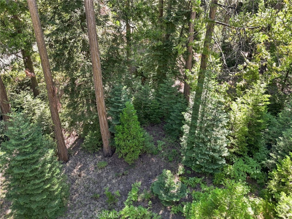39730 Fox Glove Lane Property Photo 30
